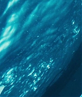 102.jpg