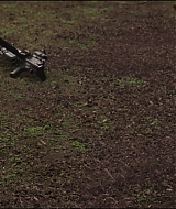 1041.jpg
