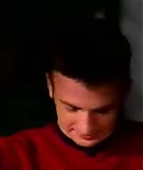 373.jpg
